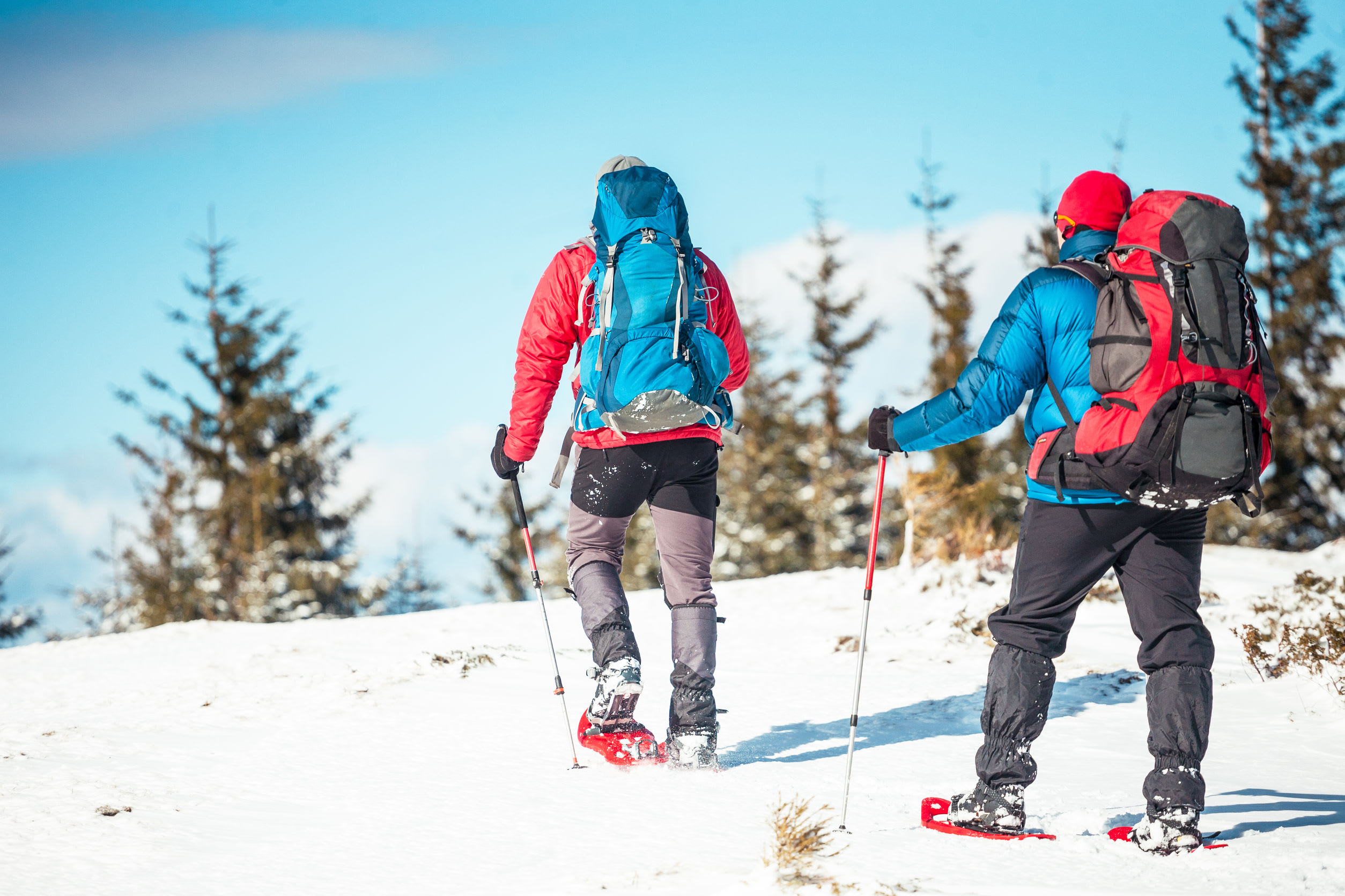 Schneeschuhwanderung auf den Lofoten Svolvær