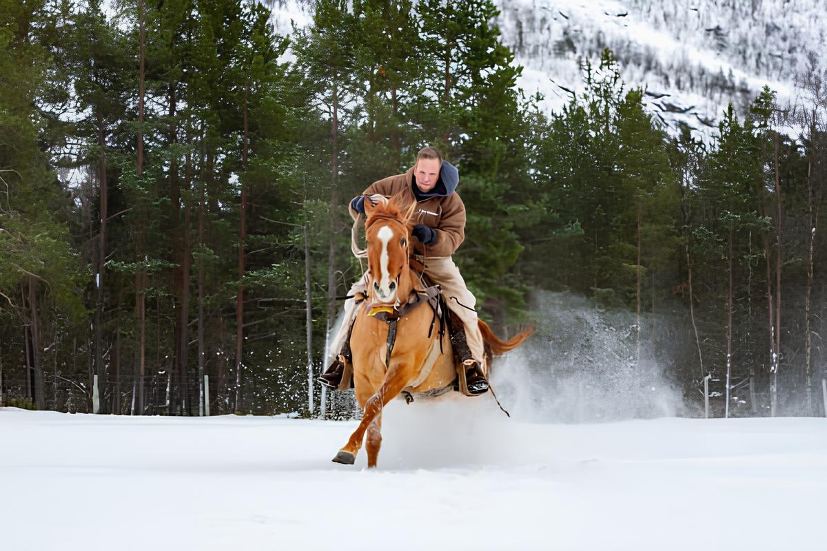 Randonnée à cheval dans l'arrière-pays arctique depuis Alta