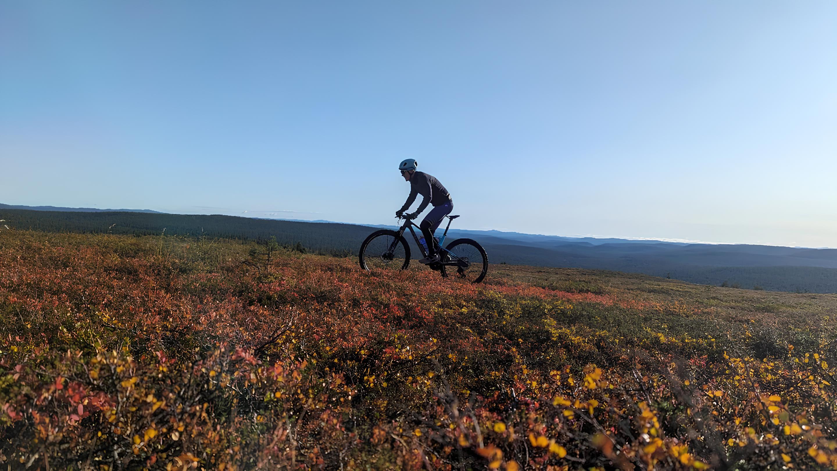 Mountain biking in Urho Kaleva Kekkonen National Park