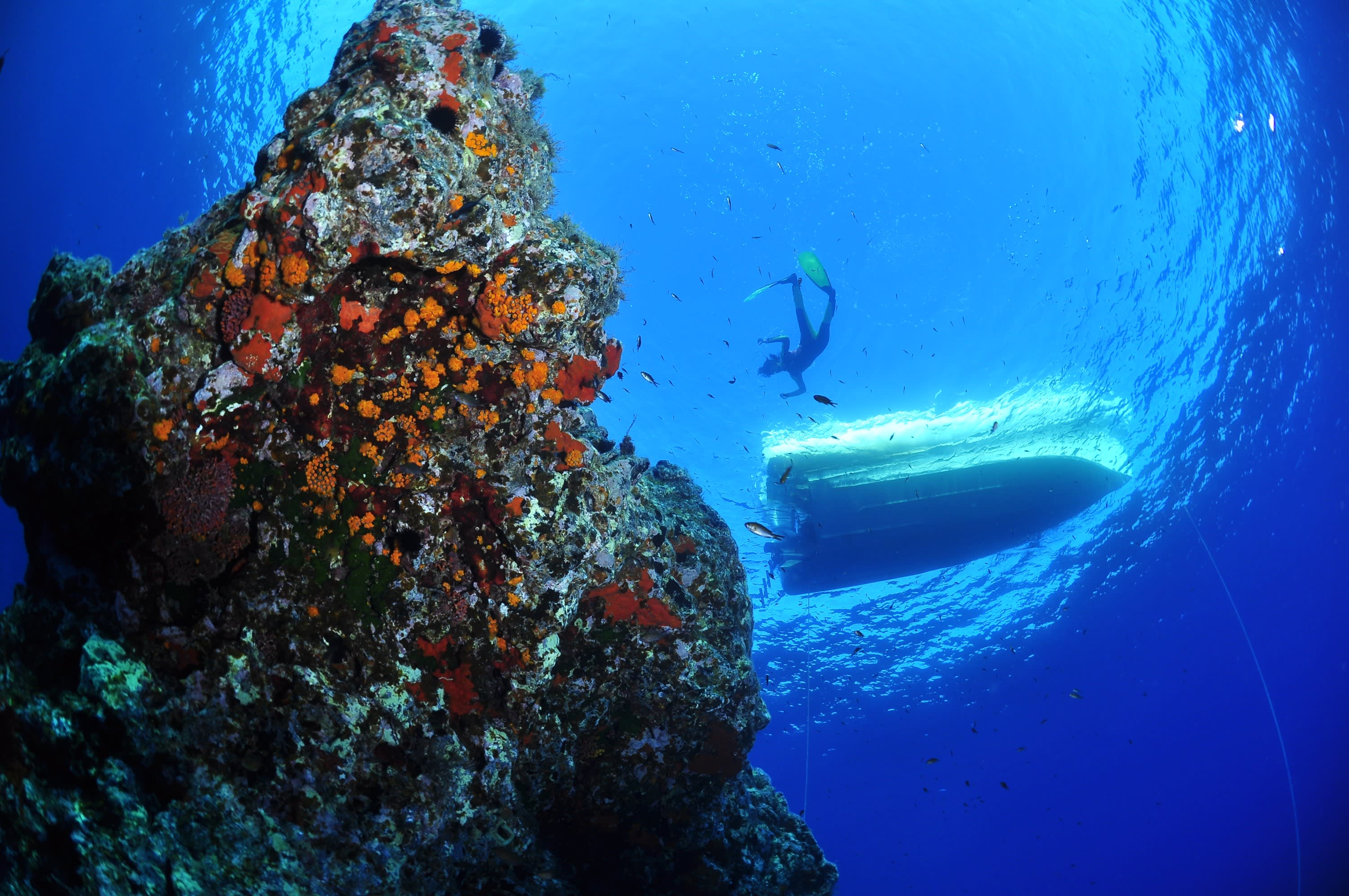 Scuba diving in Ustica