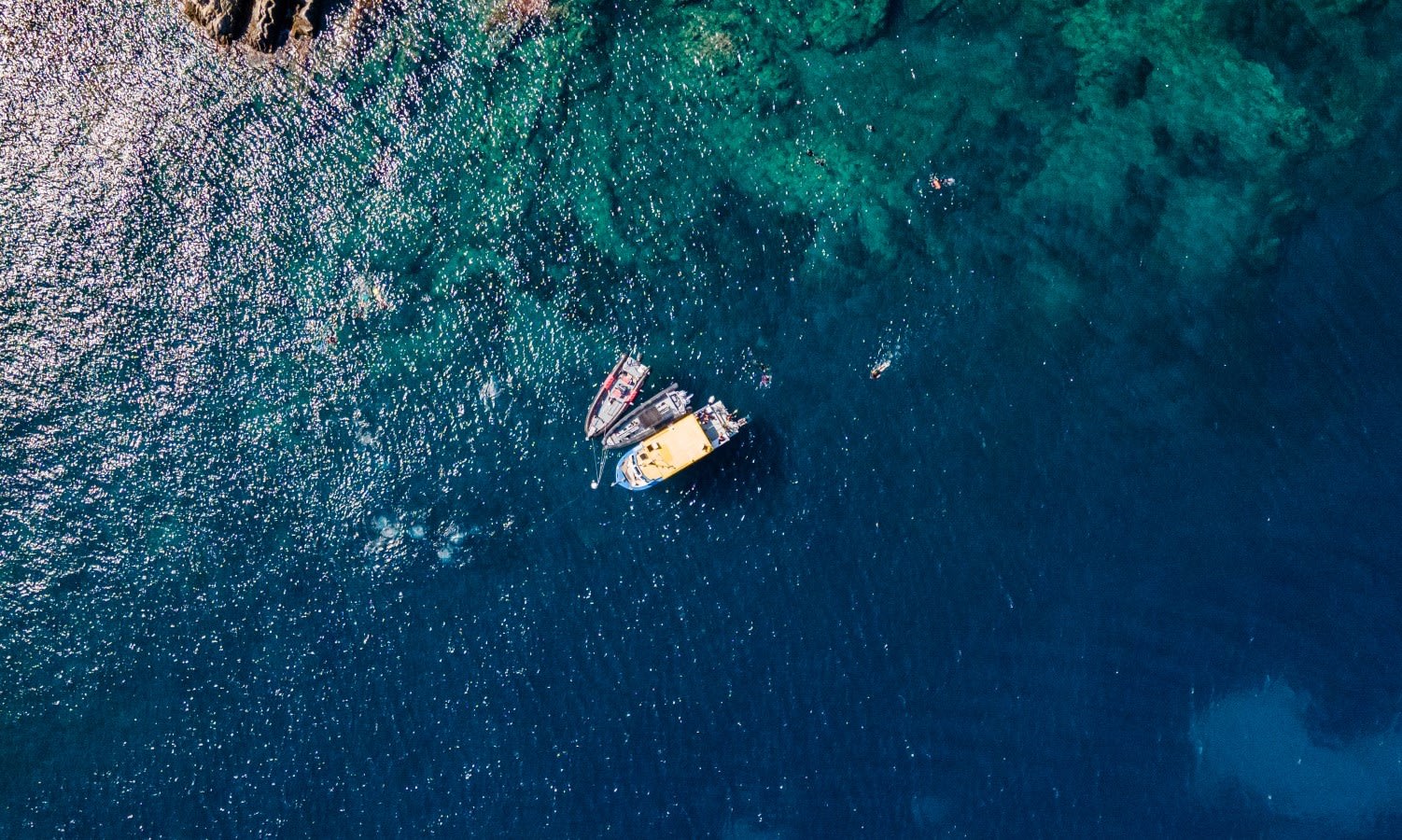 Snorkeling à Hyères 