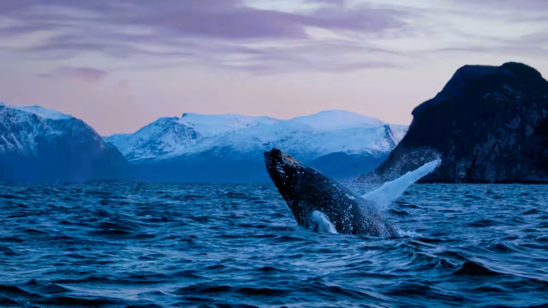 Pernoctaciones en Tromsø