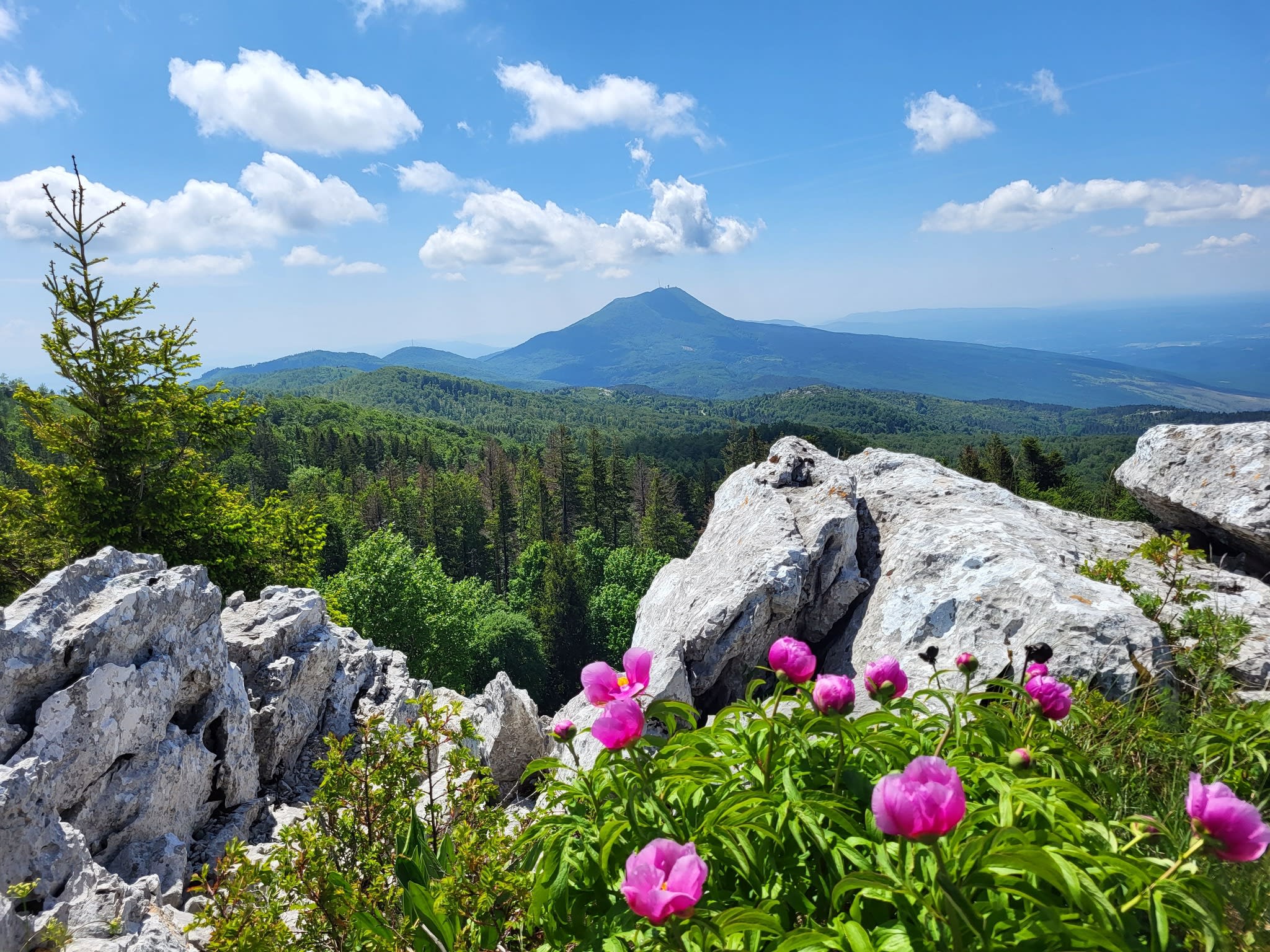 Besuchen Sie den Učka-Nationalpark