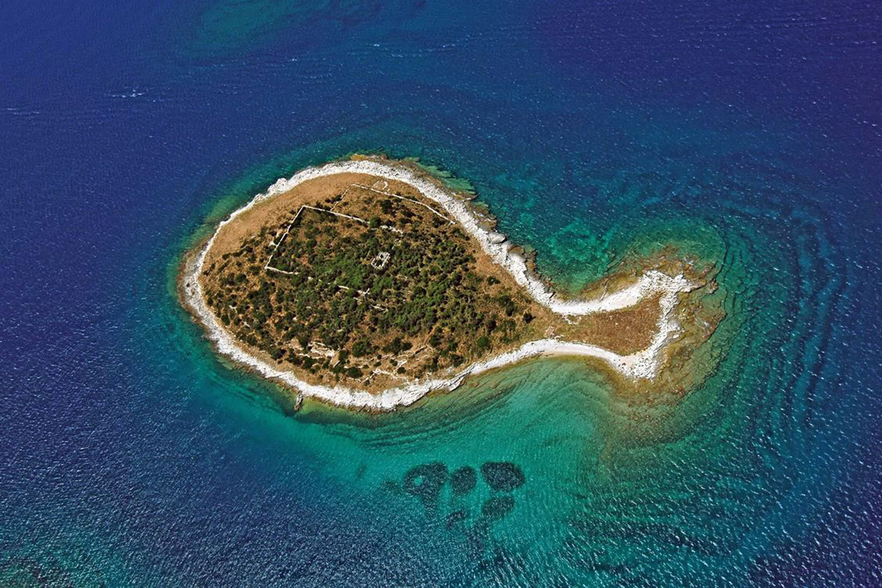 Private Bootsfahrt zum Nationalpark Brijuni ab Fažana