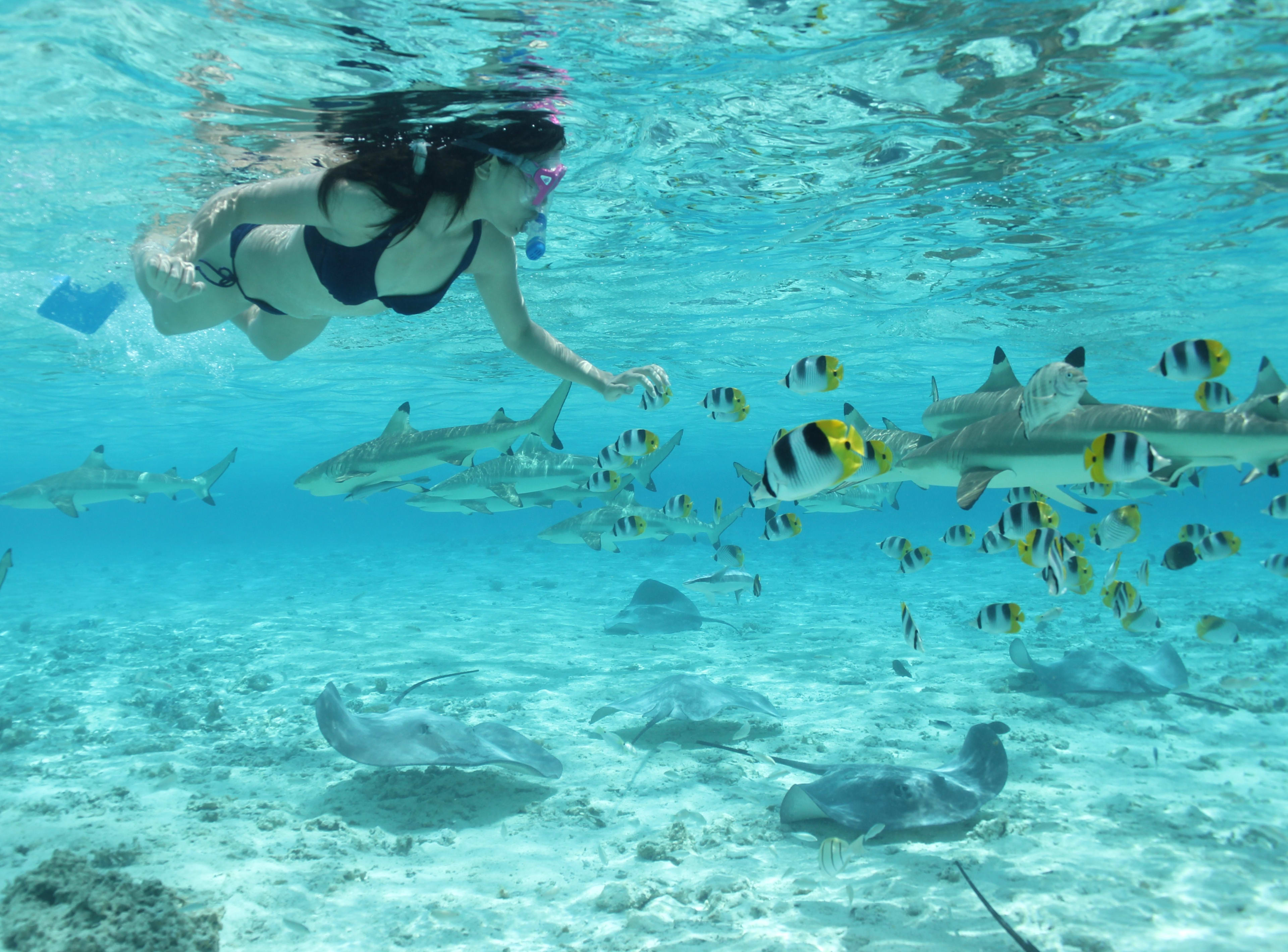 buceo en la laguna de Bora Bora