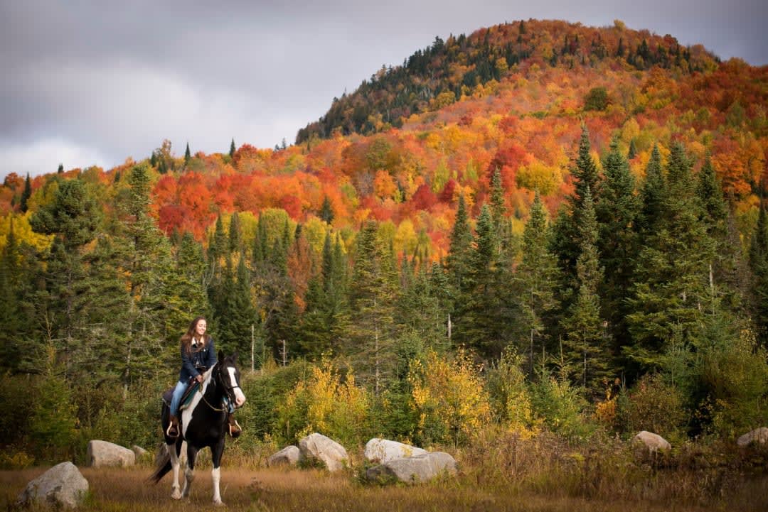 horse riding in autumn in the Laurentians