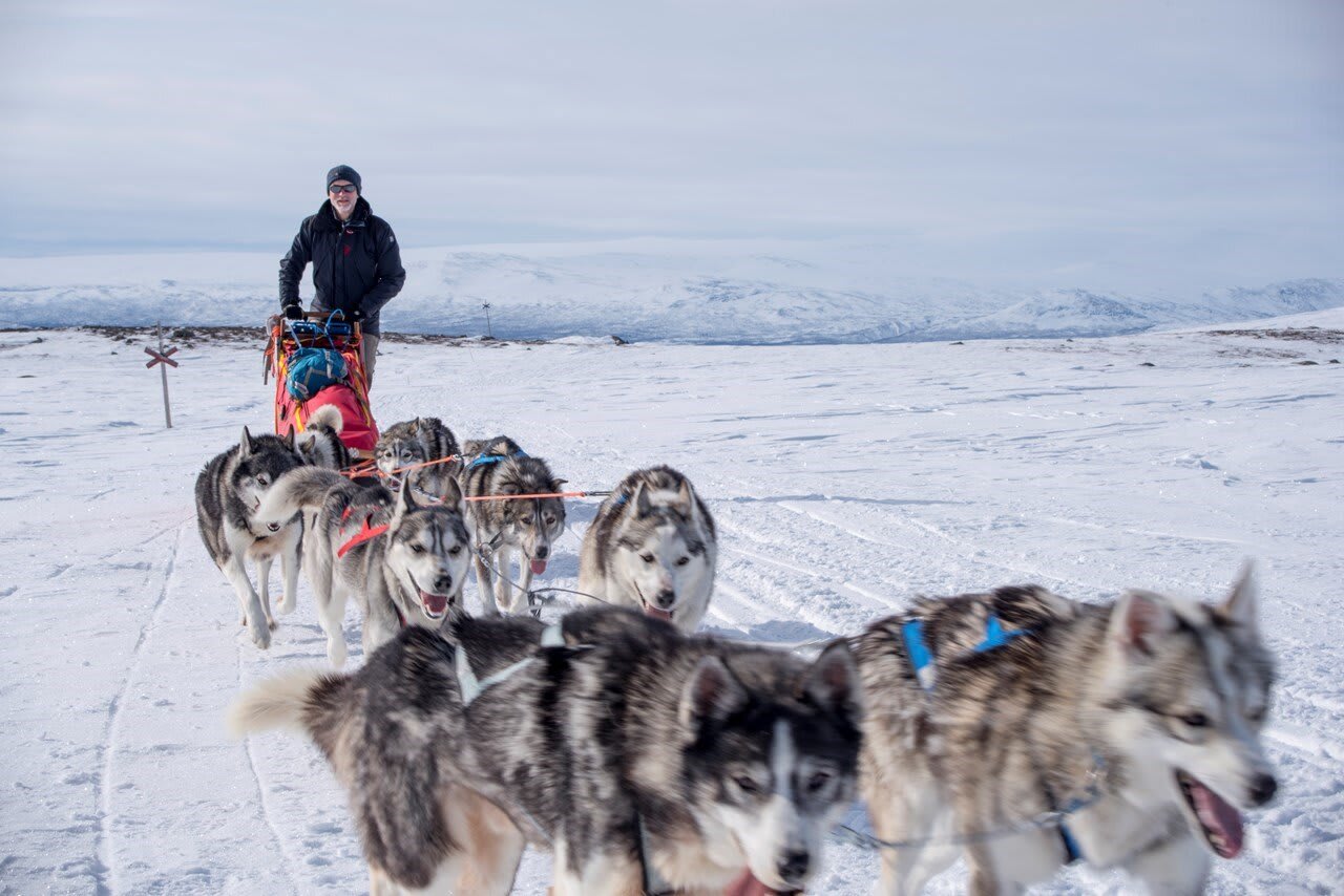 Ein Musher und sein Gespann kurz vor dem Aufbruch zu einer Winterwanderung.