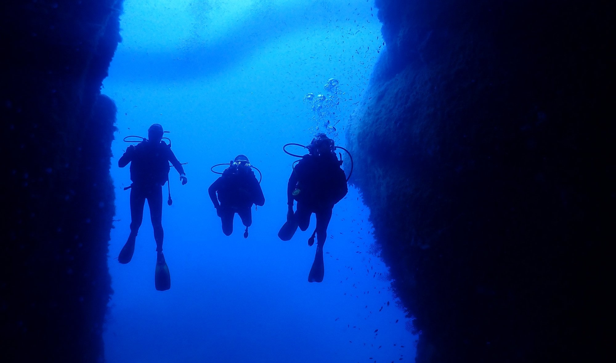 Buceo de exploración en Ajaccio, Córcega