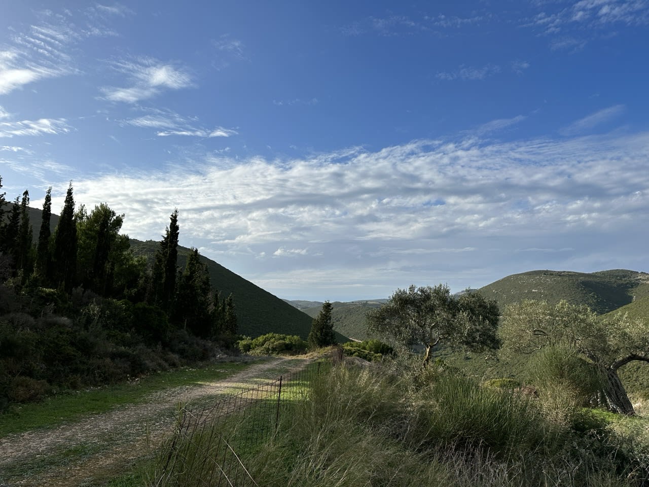 Excursión en jeep por Zante