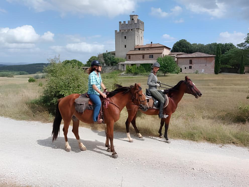 Horse riding for beginners in Siena, Tuscany