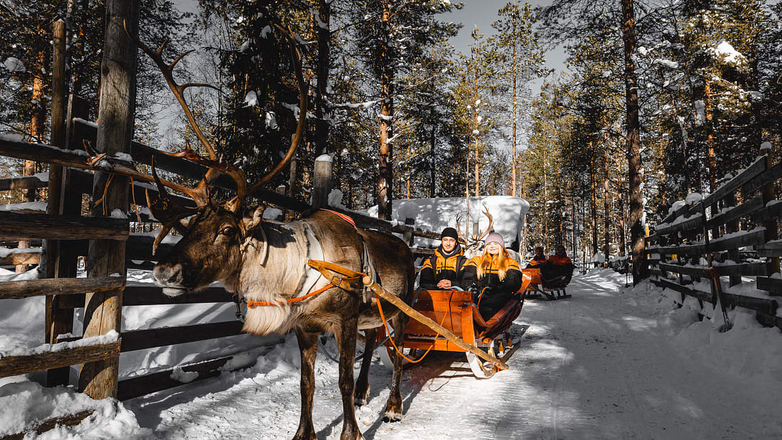 Rentierschlittenfahrt in Saariselkä