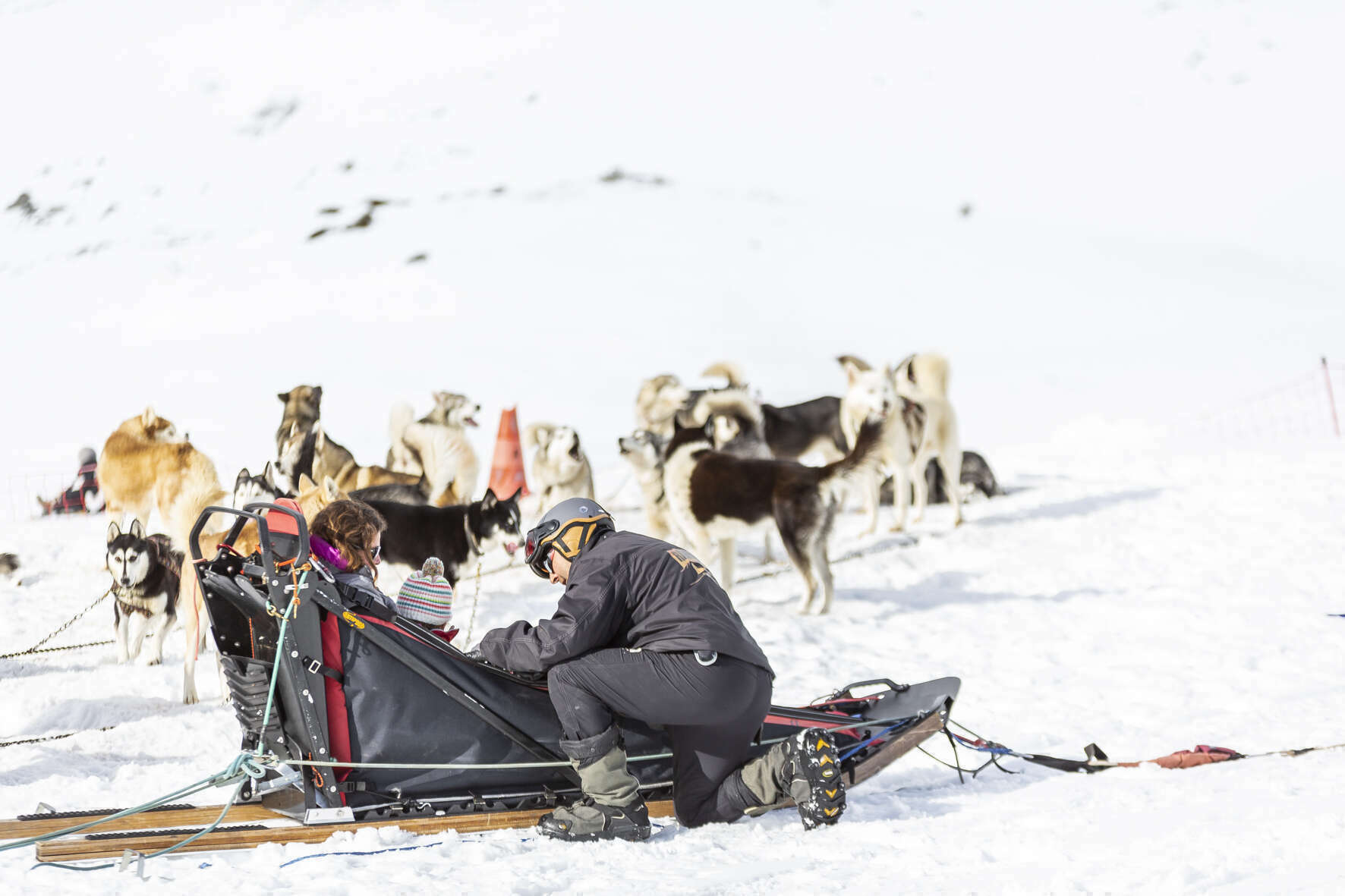 Trineos tirados por perros en el Macizo del Sancy