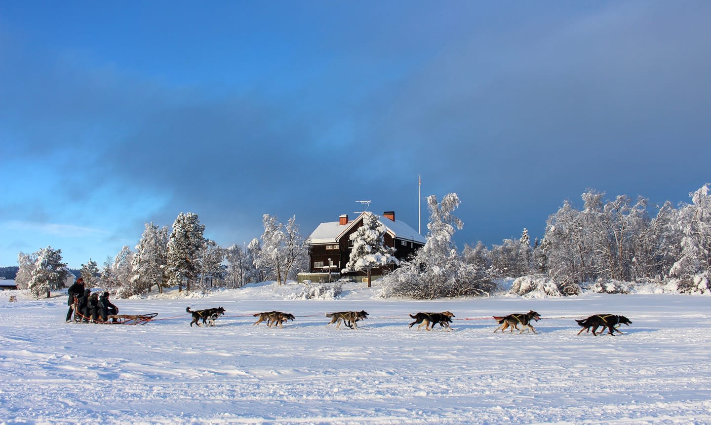 traîneau à chiens à Kiruna