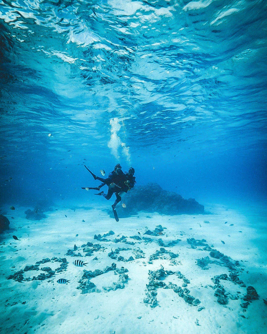 Buceo para dos en la laguna de Bora Bora