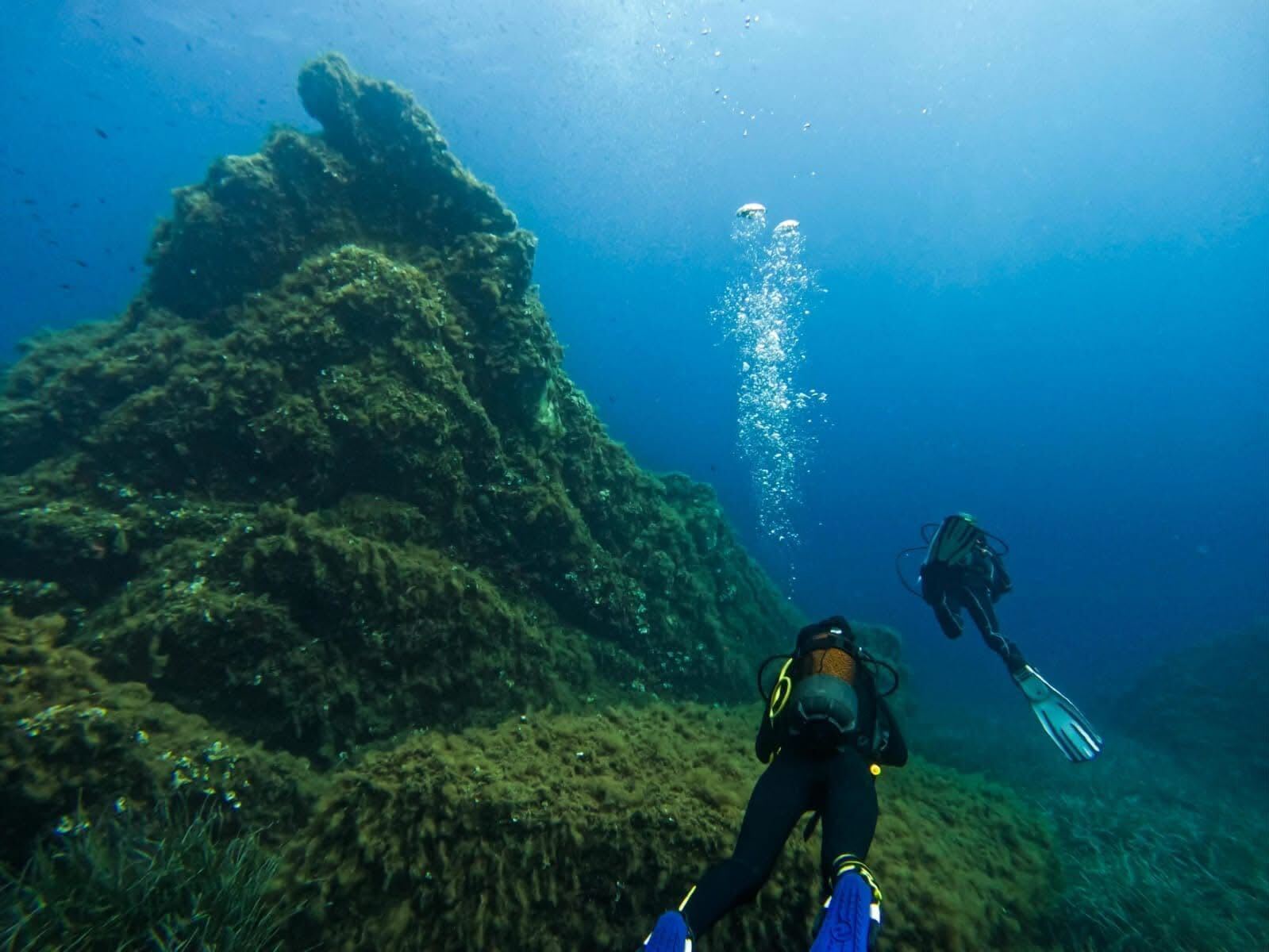 Inmersión en la Reserva Natural de las Islas Cerbicale, Porto-Vecchio