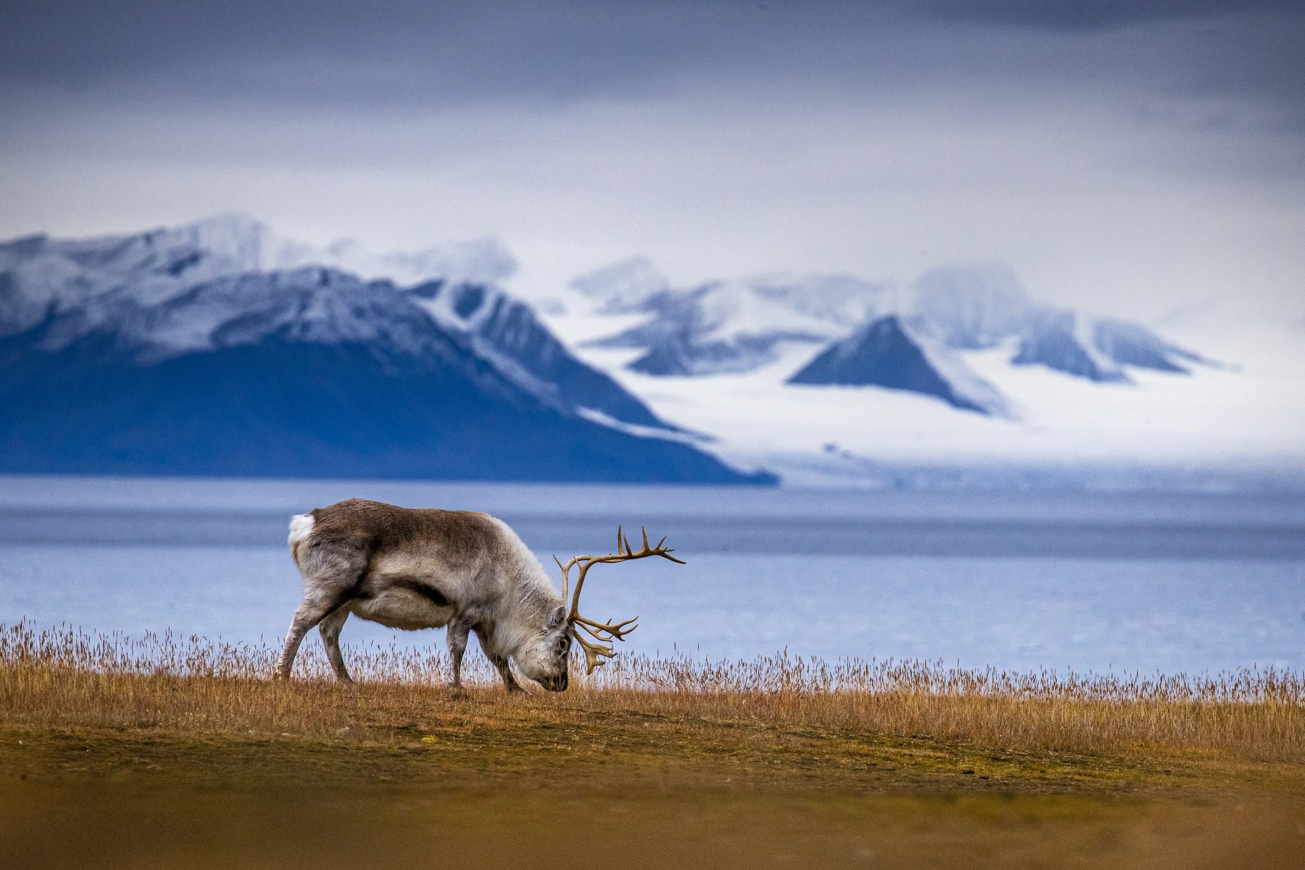 Die besten Aktivitäten in Svalbard