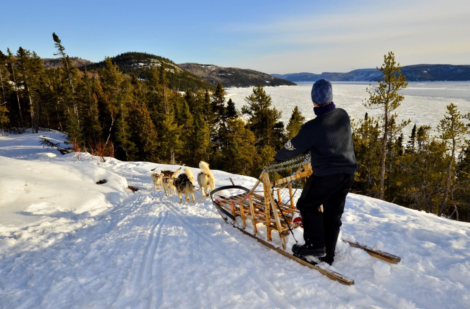 trineos tirados por perros en el fiordo de saguenay