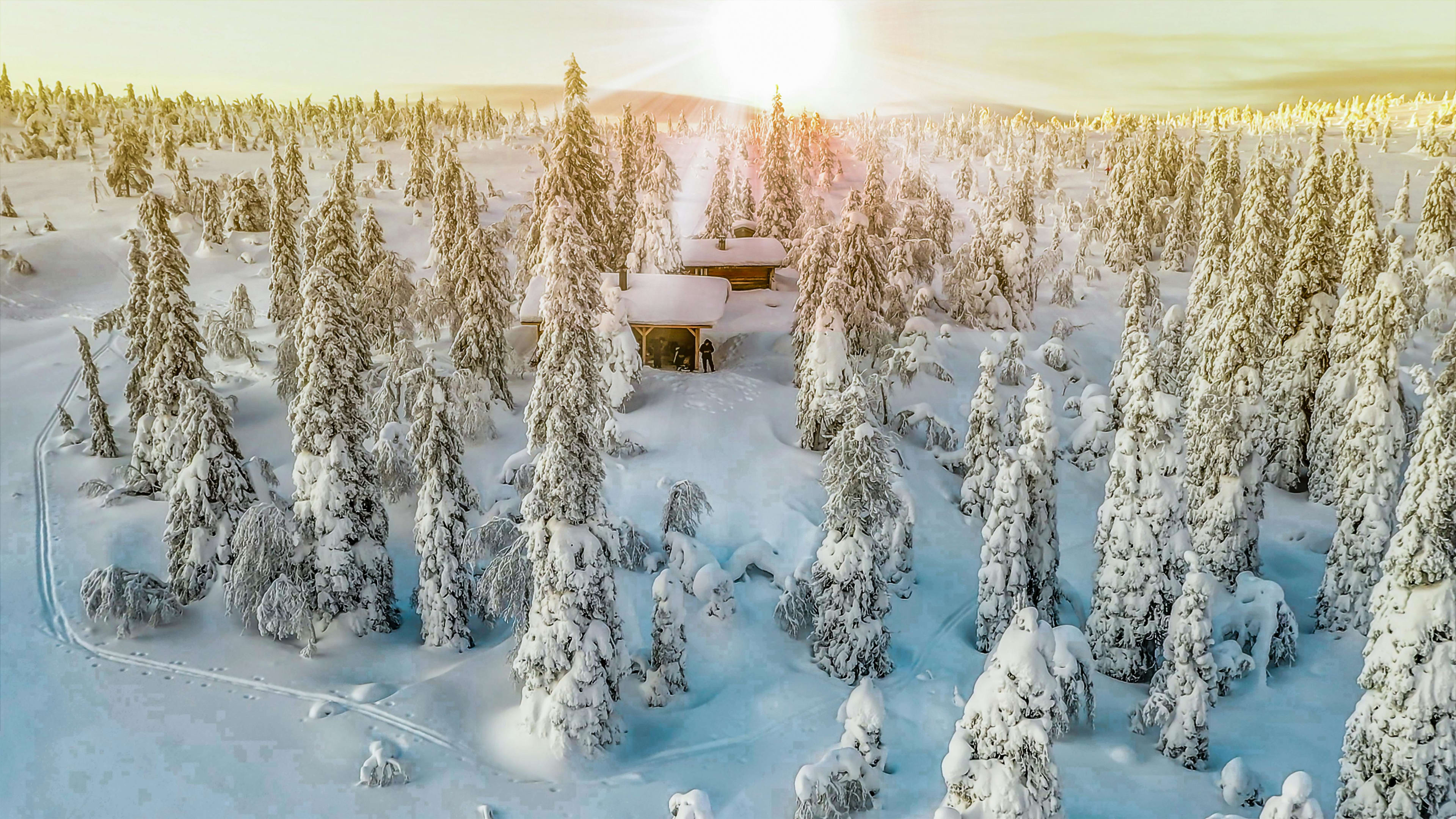 Winter in Lapland