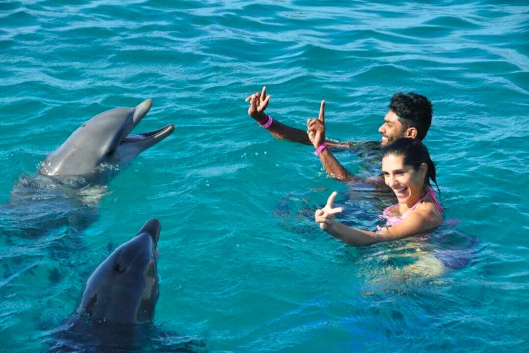 A couple playing with dolphins