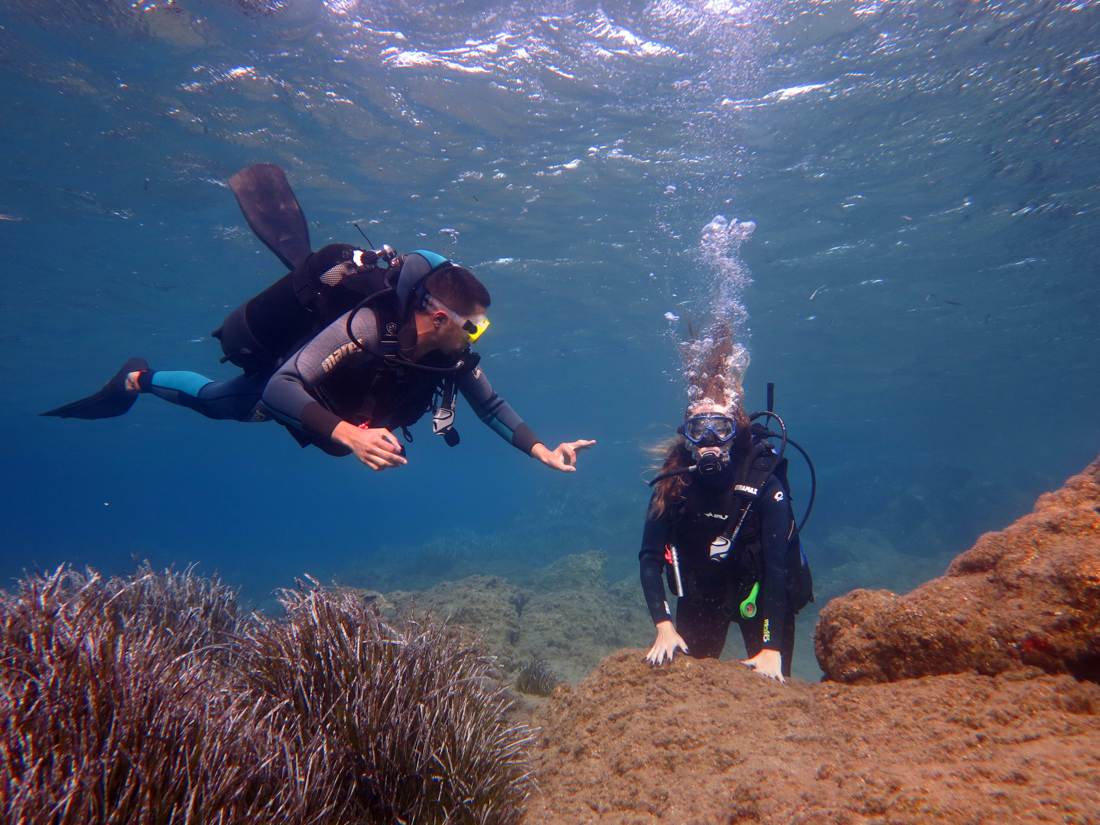 Plongée sous-marine à Kos