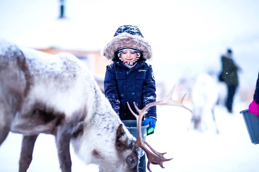 Actividades familiares en Tromsø