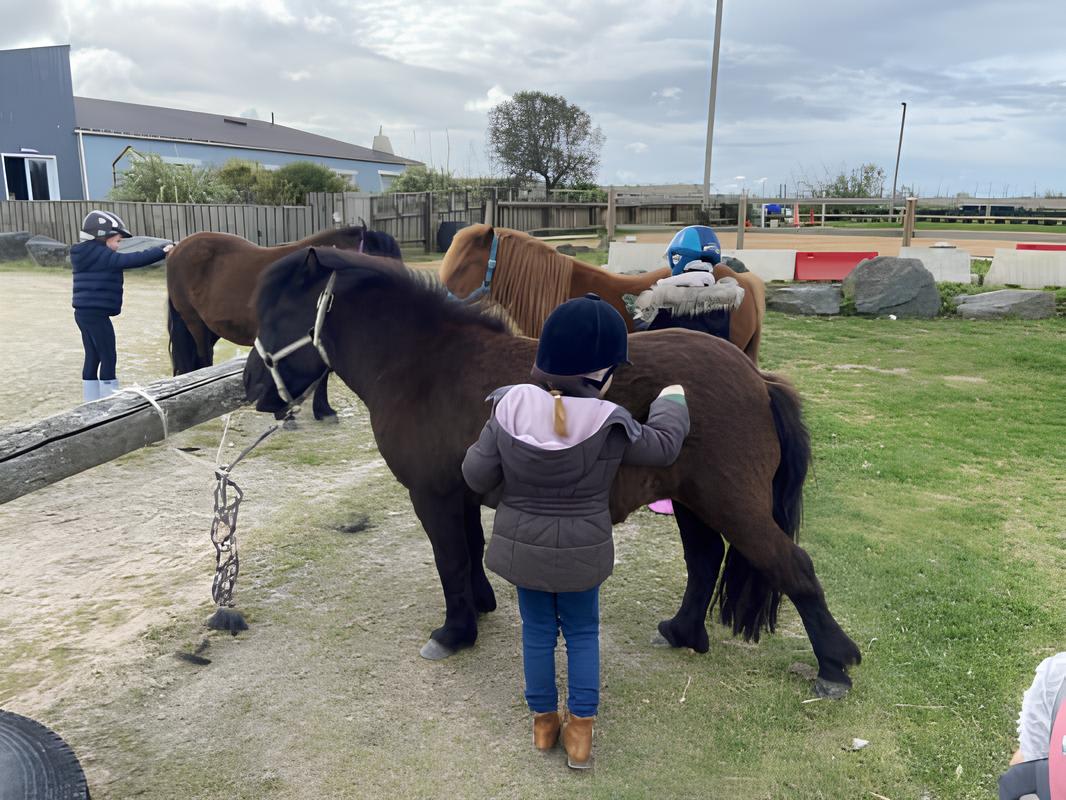 Balade à poney pour enfants près de La Rochelle