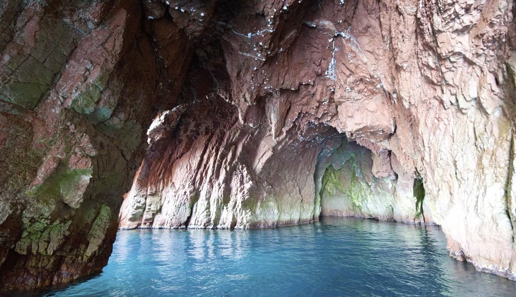 Au coeur d'une grotte marine