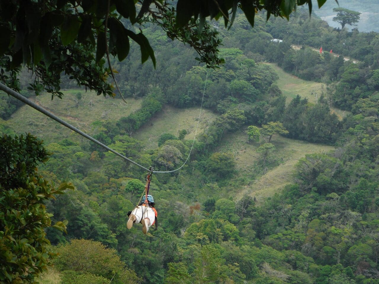 Tarzan jump