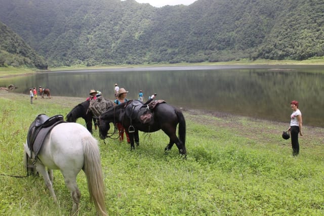 Randonnée à cheval au Grand-Etang