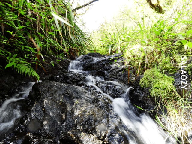 Randonnée guidée dans le Cirque de Salazie à La Réunion - Image 3