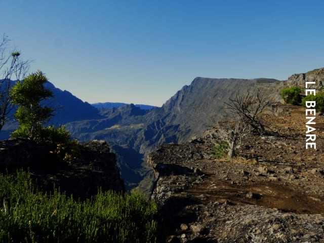 Randonnée guidée au sommet du Grand Bénare à La Réunion - Image 3