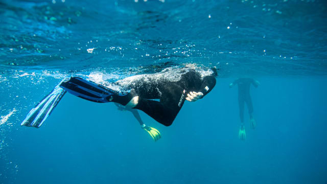 Snorkeling dans la Baie de Saint‑Leu (La Réunion)