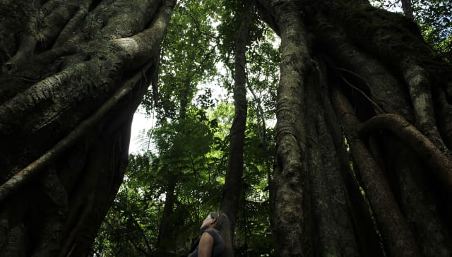Randonnée aux Makes le long des remparts de Cilaos - Image 2