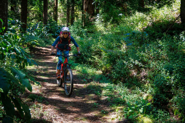Excursion à VTT électrique dans le Cirque de Cilaos