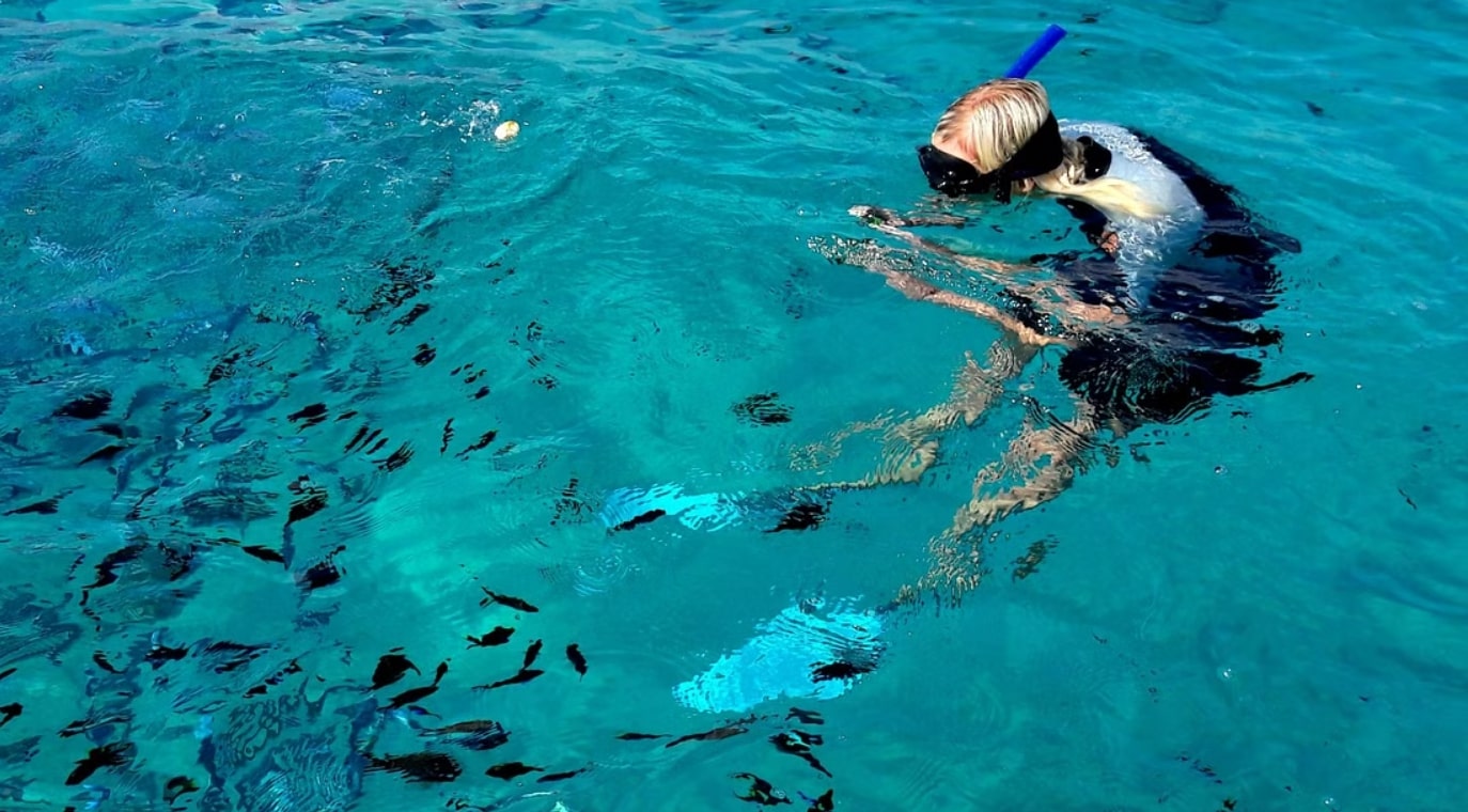 Guided Snorkelling Tour to Tavolara from Olbia, Sardinia | Manawa