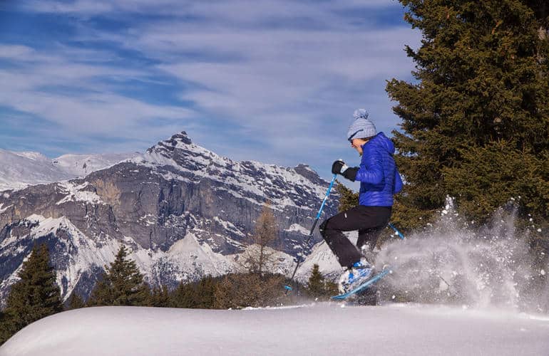 Randonnée en raquettes à neige