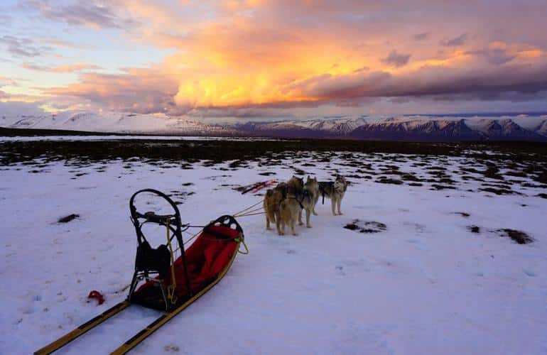 Where to go Dog Sledding in Europe? Manawa