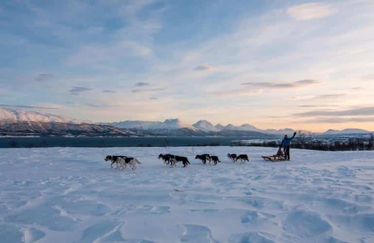 Where to go Dog Sledding in Europe? Manawa
