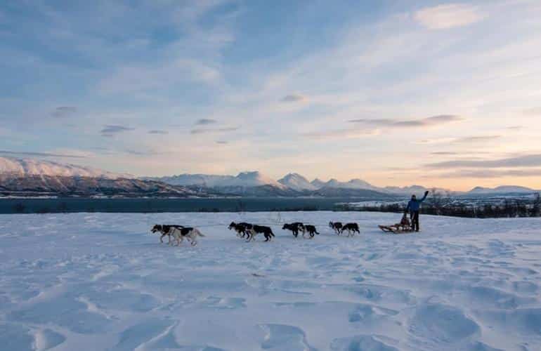 Trineos tirados por perros en Tromsö, Noruega