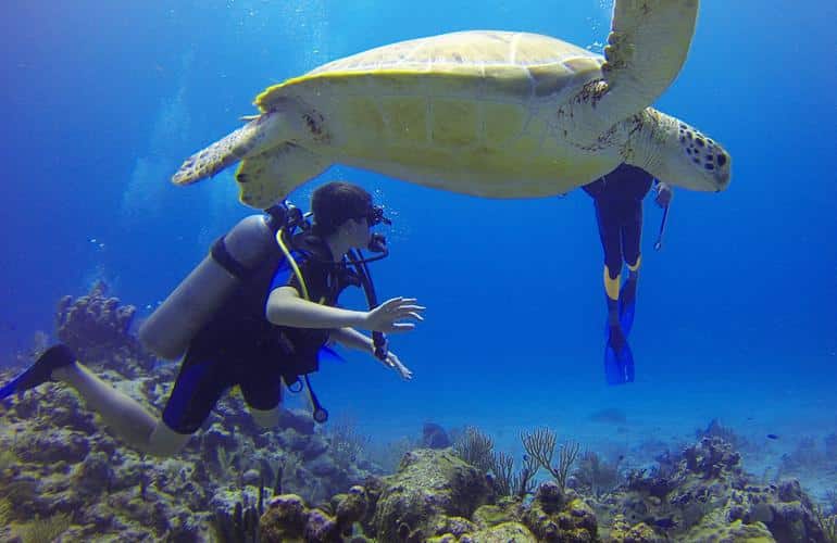 buceo canarias