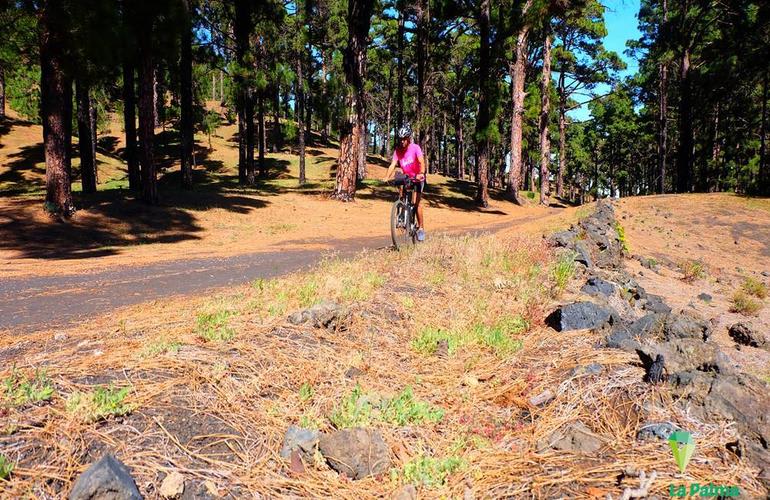 Downhill MTB canary islands