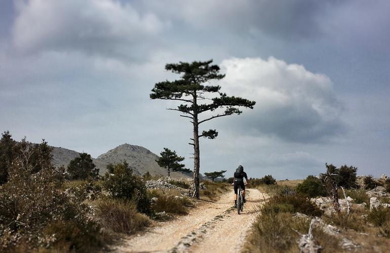 bicicleta de descenso Croacia Manawa