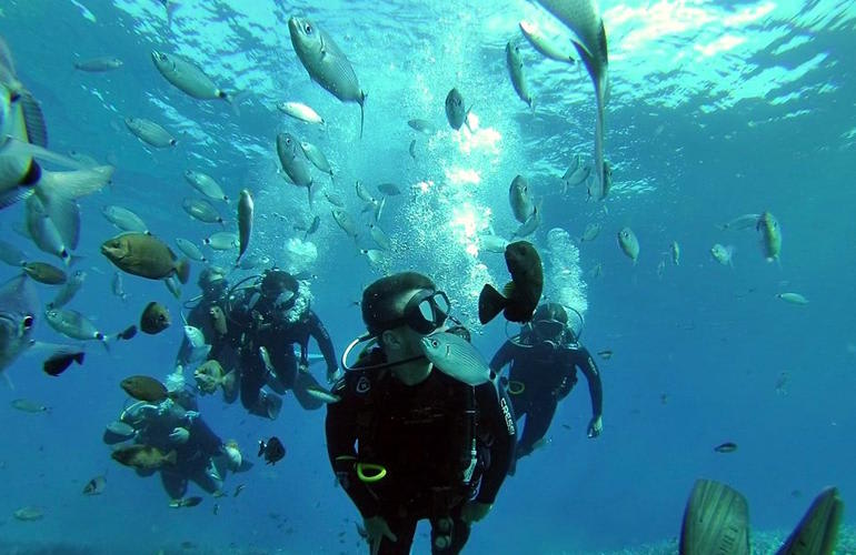 Snorkeling plongée sous-marine ile de santorin