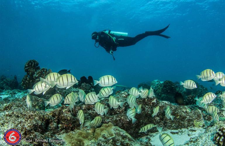 plongée sous marine