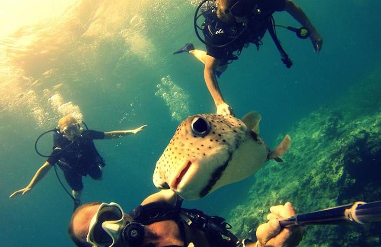 scubadiving in reunion island