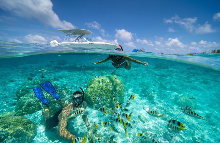 Snorkeling trip to Bora Bora