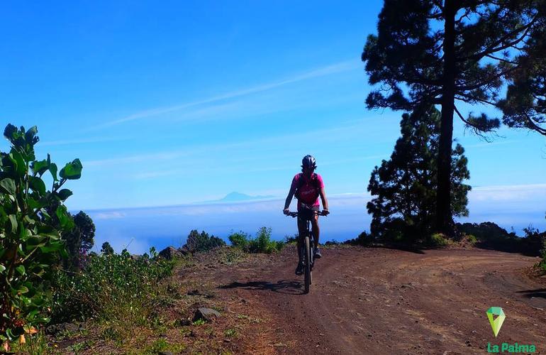 Mountain biking excursions in La Palma