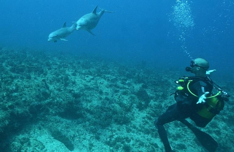 Buceo en Port-Louis, Guadalupe