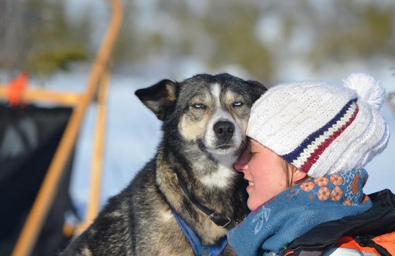 excursión con mushing en Koppera, cerca de Trondheim