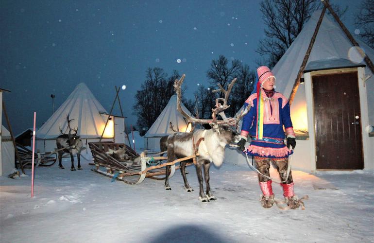 Reindeer sledding evening trip in Tromsø